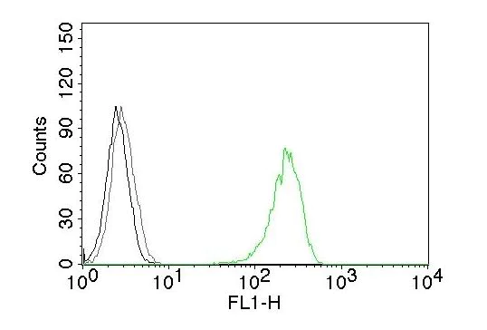 Flow Cytometry - Anti-Transferrin Receptor antibody [66IG10] (AB194402)