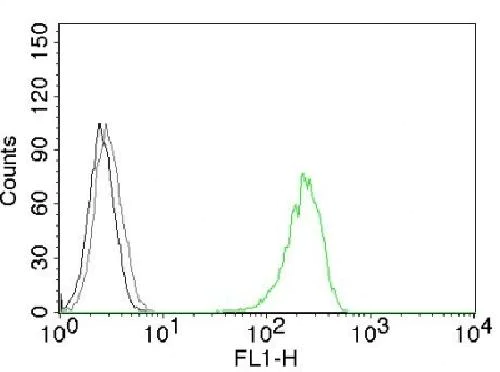 Flow Cytometry - Anti-Transferrin Receptor antibody [66IG10] - BSA and Azide free (AB212864)