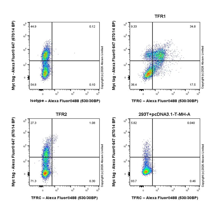 Flow Cytometry - Anti-Transferrin Receptor antibody [EPR20671-220] - BSA and Azide free (Capture) (AB259509)