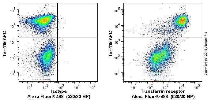 Flow Cytometry - Anti-Transferrin Receptor antibody [OX26] - BSA and Azide free (AB244555)