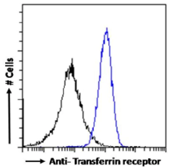 Flow Cytometry - Anti-Transferrin Receptor antibody [R17 217.1.3] - Rabbit IgG (Chimeric) (AB281913)