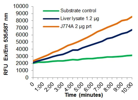Functional Studies - Transketolase Activity Assay Kit (Fluorometric) (AB273310)