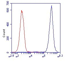 Flow Cytometry - Anti-Transketolase antibody [7H1AA1] (AB112997)