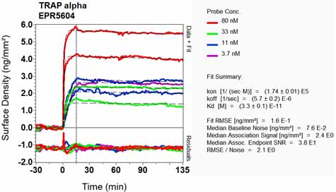OI-RD Scanning - Anti-TRAP alpha/TRAPA antibody [EPR5604] - BSA and Azide free (AB248180), expandable thumbnail