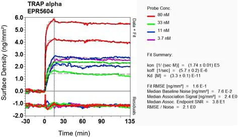 OI-RD Scanning - Anti-TRAP alpha/TRAPA antibody [EPR5604] - BSA and Azide free (AB248180)