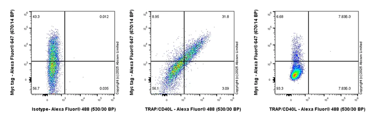 Flow Cytometry (Intracellular) - Anti-TRAP/CD40L antibody [EPR29037-580] - BSA and Azide free (AB324618)