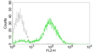 Flow Cytometry - Anti-TREM1 antibody [L5-B8] (AB106153)