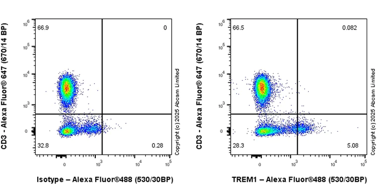 Flow Cytometry - Anti-TREM1 antibody [RM1315] (AB324931)