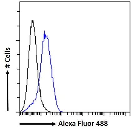 Flow Cytometry - Anti-TREM2 antibody - C-terminal (AB223684)