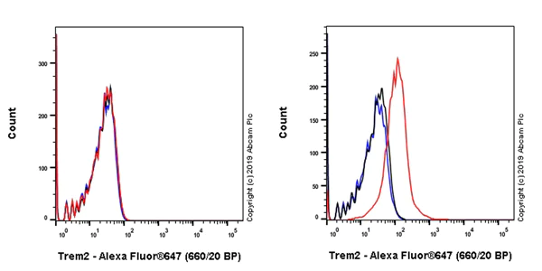 Flow Cytometry - Anti-TREM2 antibody [EPR23177-106] - BSA and Azide free (AB269868)
