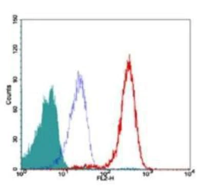 Flow Cytometry (Intracellular) - Anti-TRF2 antibody [4A794] (AB13579)