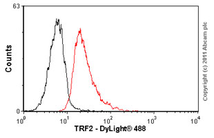 Flow Cytometry (Intracellular) - Anti-TRF2 antibody [4A794] (AB13579)