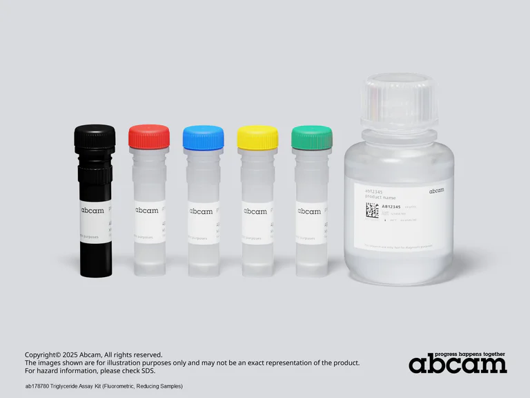 Other - Triglyceride Assay Kit (Fluorometric, Reducing Samples) (AB178780)