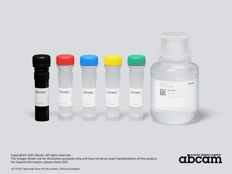 Schematic Diagram - Triglyceride Assay Kit (Fluorometric, Reducing Samples) (AB178780)
