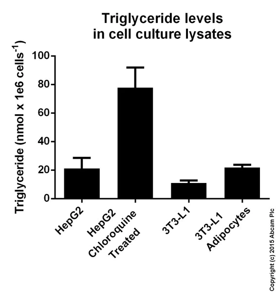 Functional Studies - Triglyceride Assay Kit - Quantification (AB65336)