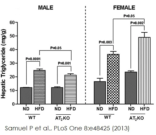 Functional Studies - Triglyceride Assay Kit - Quantification (AB65336)
