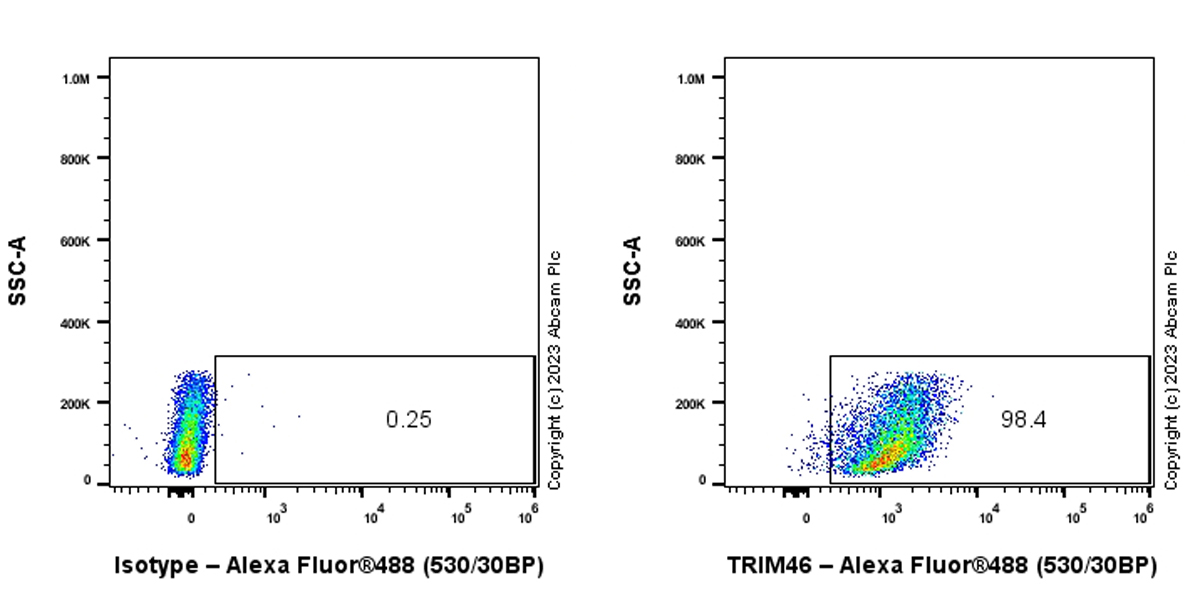 Flow Cytometry (Intracellular) - Anti-TRIM46 antibody [EPR26957-34] - BSA and Azide free (ab307968), expandable thumbnail
