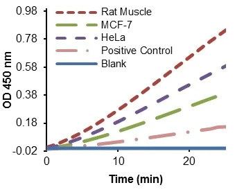 Functional Studies - Triose Phosphate Isomerase (TPI) Activity Assay Kit (Colorimetric) (AB197001)