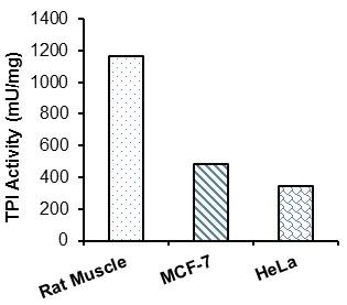 Functional Studies - Triose Phosphate Isomerase (TPI) Activity Assay Kit (Colorimetric) (AB197001)