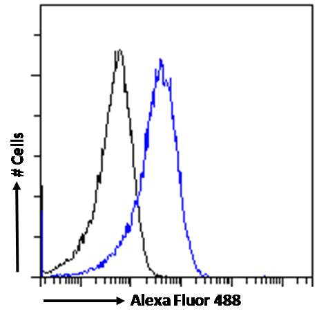 Flow Cytometry - Anti-Triosephosphate isomerase antibody (AB28760), expandable thumbnail