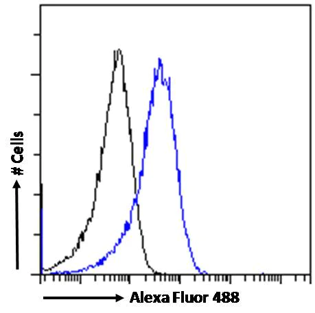 Flow Cytometry - Anti-Triosephosphate isomerase antibody (AB28760)
