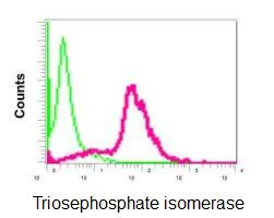 Flow Cytometry (Intracellular) - Anti-Triosephosphate isomerase antibody [EPR12149(B)] - BSA and Azide free (AB249572)