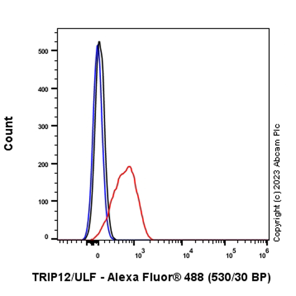 Flow Cytometry (Intracellular) - Anti-TRIP12/ULF antibody [EPR27062-86] - BSA and Azide free (ab313629), expandable thumbnail