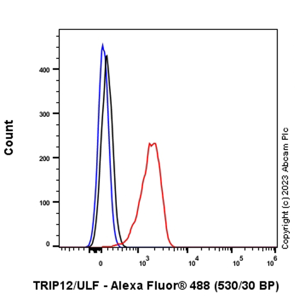 Flow Cytometry (Intracellular) - Anti-TRIP12/ULF antibody [EPR27062-86] - BSA and Azide free (AB313629), expandable thumbnail