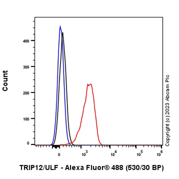 Flow Cytometry (Intracellular) - Anti-TRIP12/ULF antibody [EPR27062-86] - BSA and Azide free (AB313629)