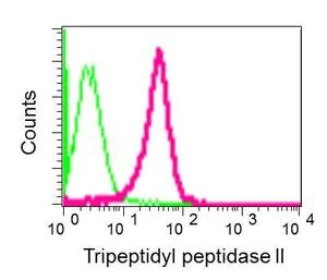 Flow Cytometry (Intracellular) - Anti-Tripeptidyl peptidase II/TPPII antibody [EPR13202] - BSA and Azide free (AB250179)