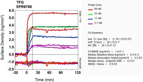 OI-RD Scanning - Anti-TRK fused gene antibody [EPR8766] (AB156866)