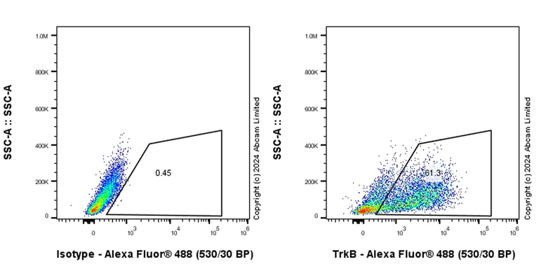 Flow Cytometry - Anti-TrkB antibody [RM1253] (AB322464)