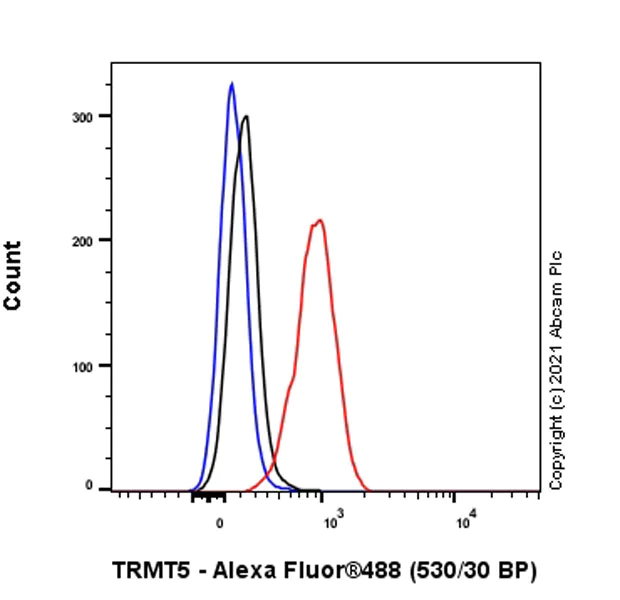 Flow Cytometry (Intracellular) - Anti-TRMT5 antibody [EPR24139-11] (AB259986)