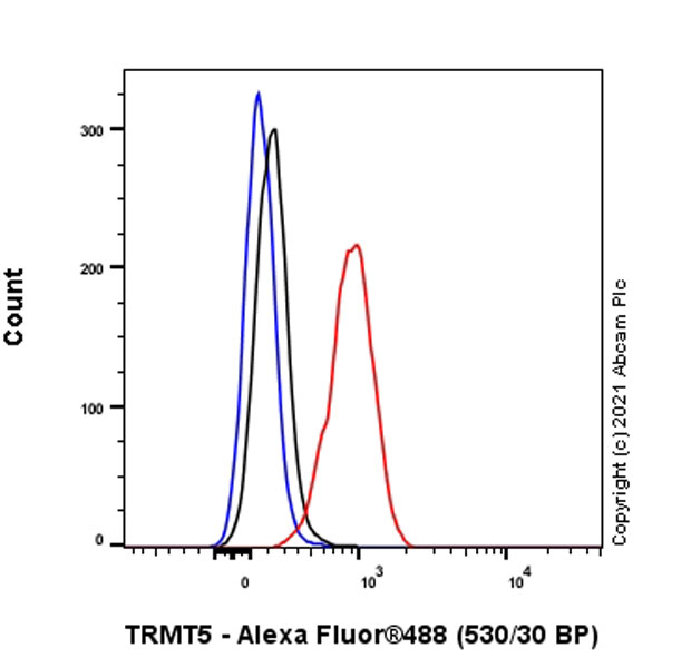 Flow Cytometry (Intracellular) - Anti-TRMT5 antibody [EPR24139-11] - BSA and Azide free (AB280083), expandable thumbnail