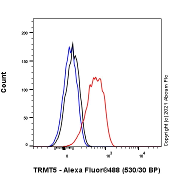 Flow Cytometry (Intracellular) - Anti-TRMT5 antibody [EPR24139-11] - BSA and Azide free (AB280083), expandable thumbnail