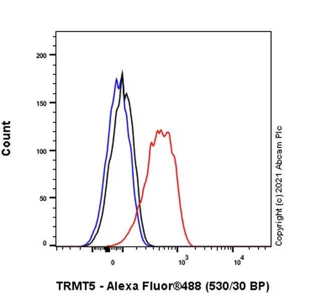 Flow Cytometry (Intracellular) - Anti-TRMT5 antibody [EPR24139-11] - BSA and Azide free (AB280083)
