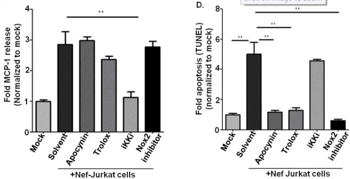 Functional Studies (Act) - Trolox, Antioxidant vitamin E derivative (AB120747)