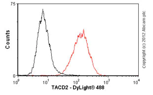 Flow Cytometry (Intracellular) - Anti-TROP2 antibody [162-46.2] - BSA and Azide free (AB238669)