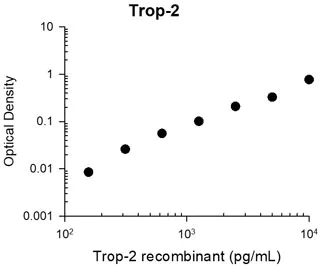 ELISA - Anti-TROP2 antibody [M005] - Extracellular domain (AB253293)