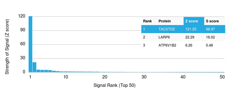 Protein Array - Anti-TROP2 antibody [TACSTD2/2152] - BSA and Azide free (AB237860)