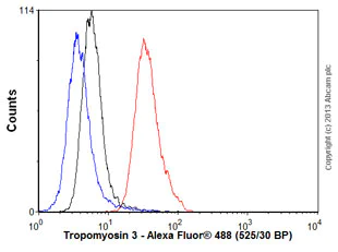 Flow Cytometry - Anti-Tropomyosin 3 antibody [3D5AH3AB4] (AB113692)
