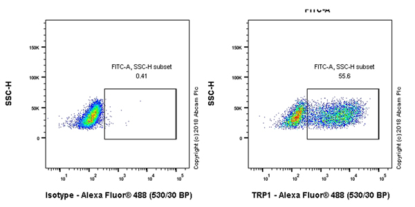 Flow Cytometry (Intracellular) - Anti-TRP1 antibody [EPR21956] (AB235446)