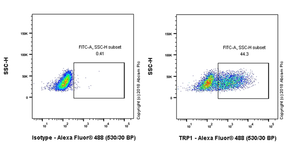 Flow Cytometry (Intracellular) - Anti-TRP1 antibody [EPR21960] (ab235447), expandable thumbnail