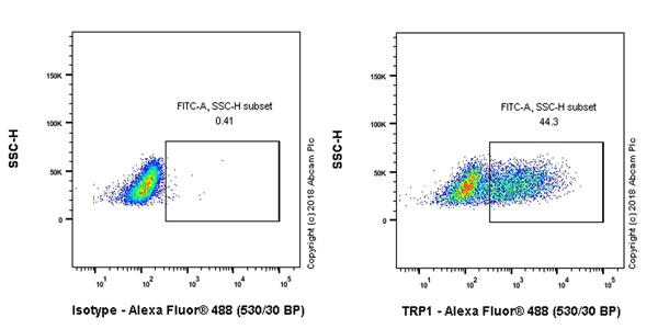 Flow Cytometry (Intracellular) - Anti-TRP1 antibody [EPR21960] (AB235447)