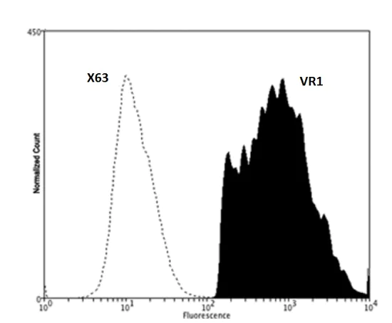 Flow Cytometry (Intracellular) - Anti-TRPV1 antibody [BS397] - C-terminal (AB203103)
