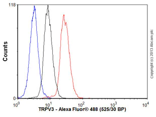 Flow Cytometry - Anti-TRPV3 antibody [N15/4] (AB85022)