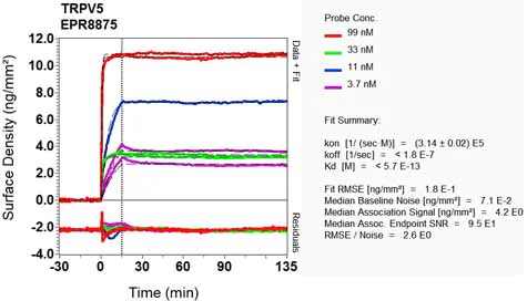 OI-RD Scanning - Anti-TRPV5 antibody [EPR8875] (AB137028)