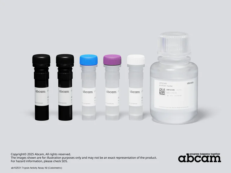 Schematic Diagram - Trypsin Activity Assay Kit (Colorimetric) (AB102531)