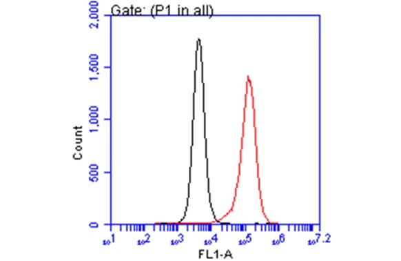 Flow Cytometry - Anti-TSG101 antibody [4A10] - BSA and Azide free (AB83)