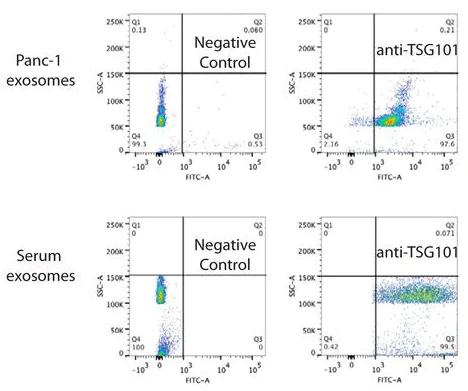 Flow Cytometry - Anti-TSG101 antibody [4A10] - BSA and Azide free (AB83)